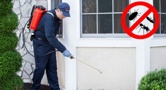 Akçakale Bit İlaçlama böcek ilaçlama ve haşere kontrolü — ilaclama-tr.com